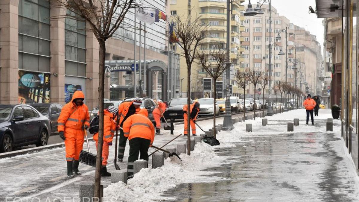 vremea a facut prapad in capitala copaci stalpi panouri publicitare si semafoare daramate de viscol