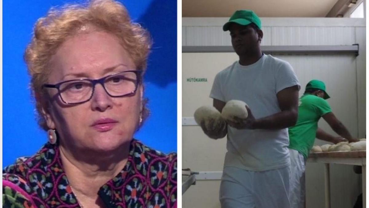 avocatul poporului noi dezvaluiri in scandalul de rasism de la ditrau preotul din localitate a pus