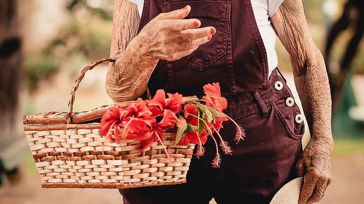 revedere emotionanta dupa 78 de ani doua surori au fost despartite in timpul celui de al doilea