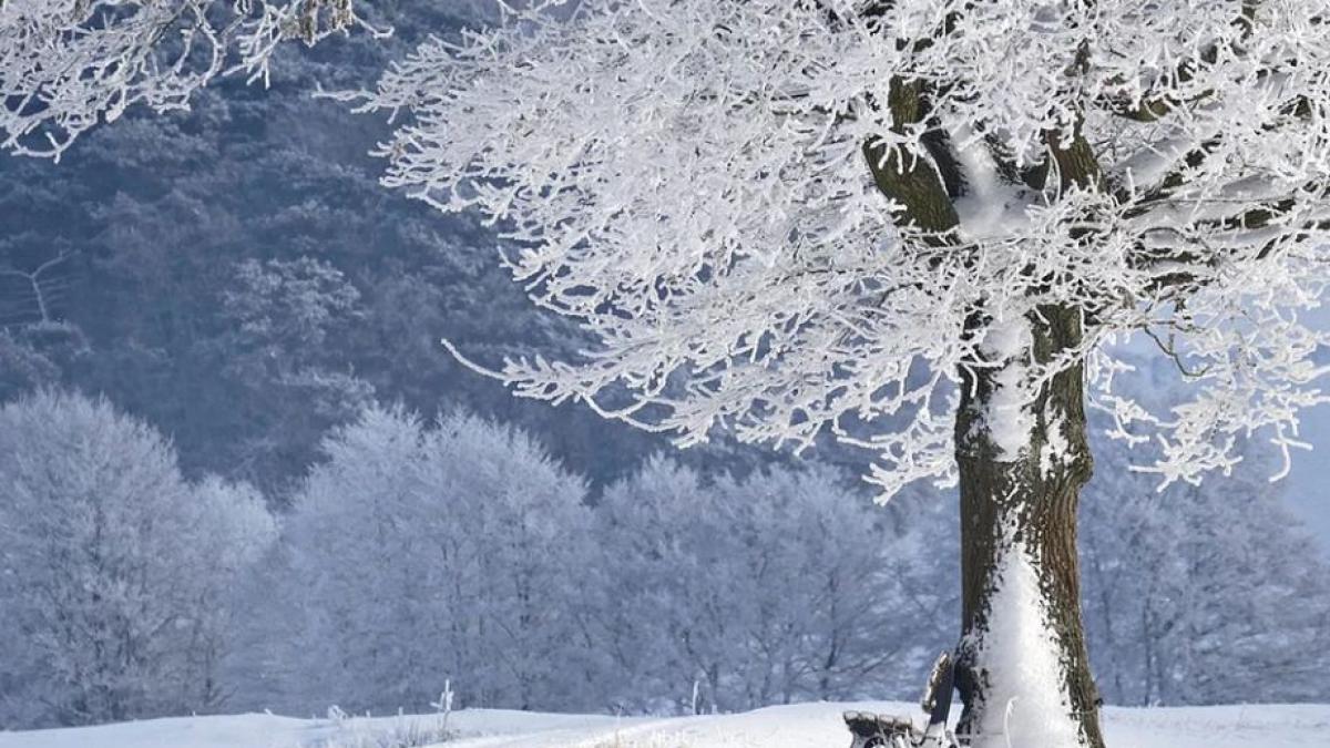 cum va fi vremea pana pe 13 februarie regiunile unde va continua sa ninga