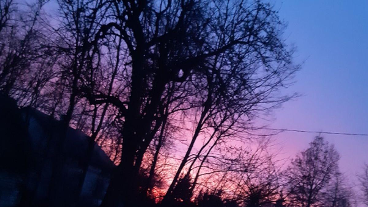 furtuna ciara face ravagii in europa cladiri distruse copaci cazuti sute de zboruri anulate