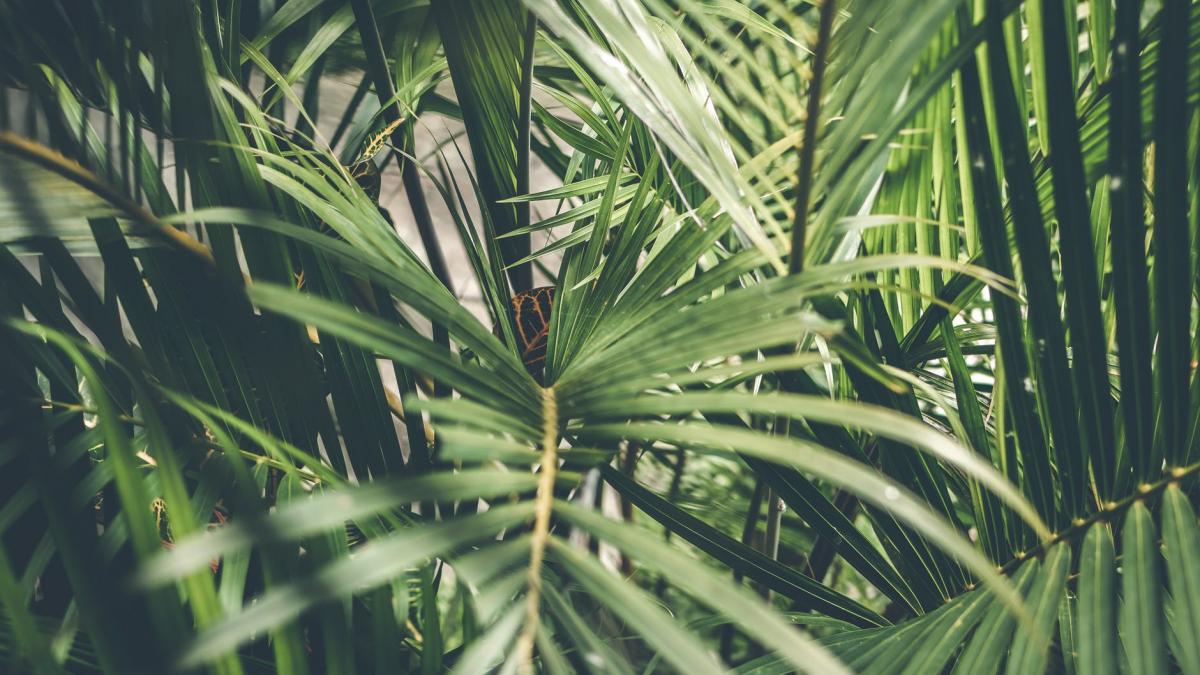 numai de bine gara din madrid cunoscuta in intreaga lume