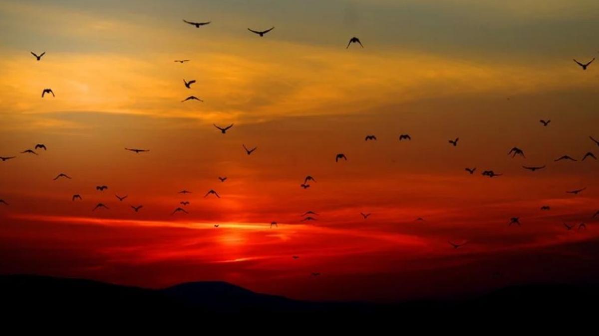 directorul anm 2019 a fost cel mai calduros an din istoria masuratorilor meteo