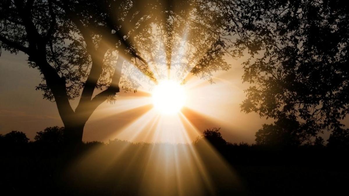 temperaturi de 16 grade in ultima luna de iarna prognoza meteo pentru urmatoarele doua saptamani