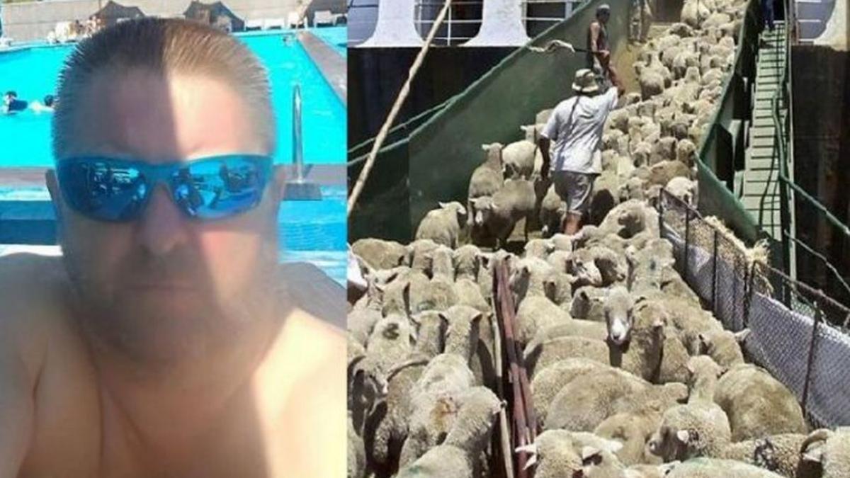 vamesul acuzat ca a luat spaga in portul midia toti banii au ajuns la seful meu care este mort