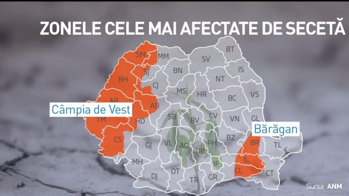 Semne bune anul n-are! Seceta a lovit puternic vestul şi sudul României