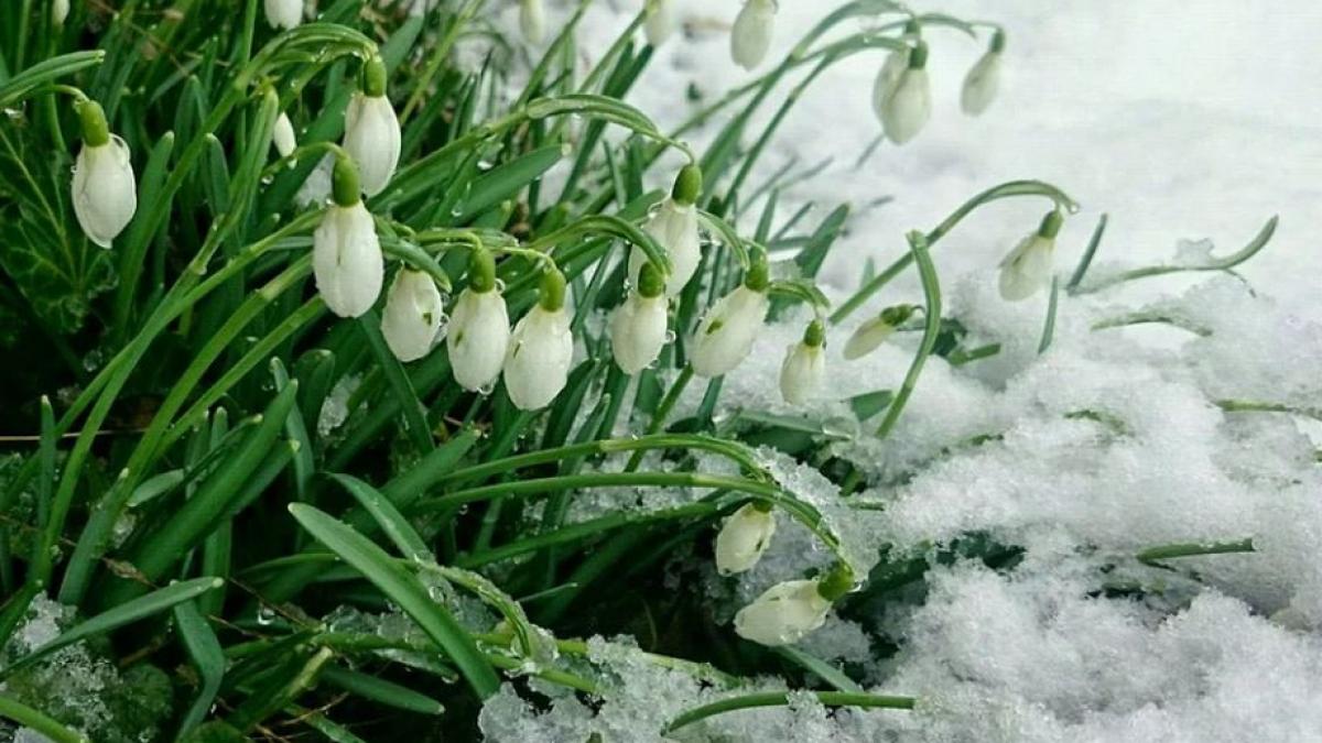 vremea se va mentine calda indeosebi in jumatatea de sud a tarii prognoza meteo pentru weekend