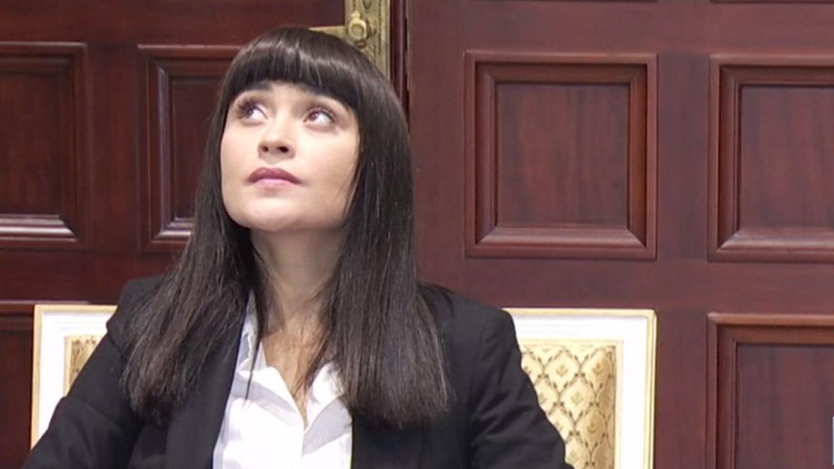 cantareata irina rimes ambasadorul zilei brancusi am vizitat unele dintre lucrarile domnului