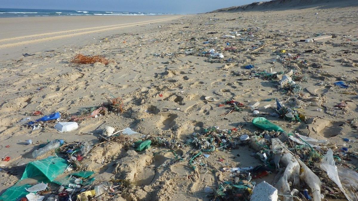 este oficial din vara acest lucru va fi interzis pe litoralul romanesc