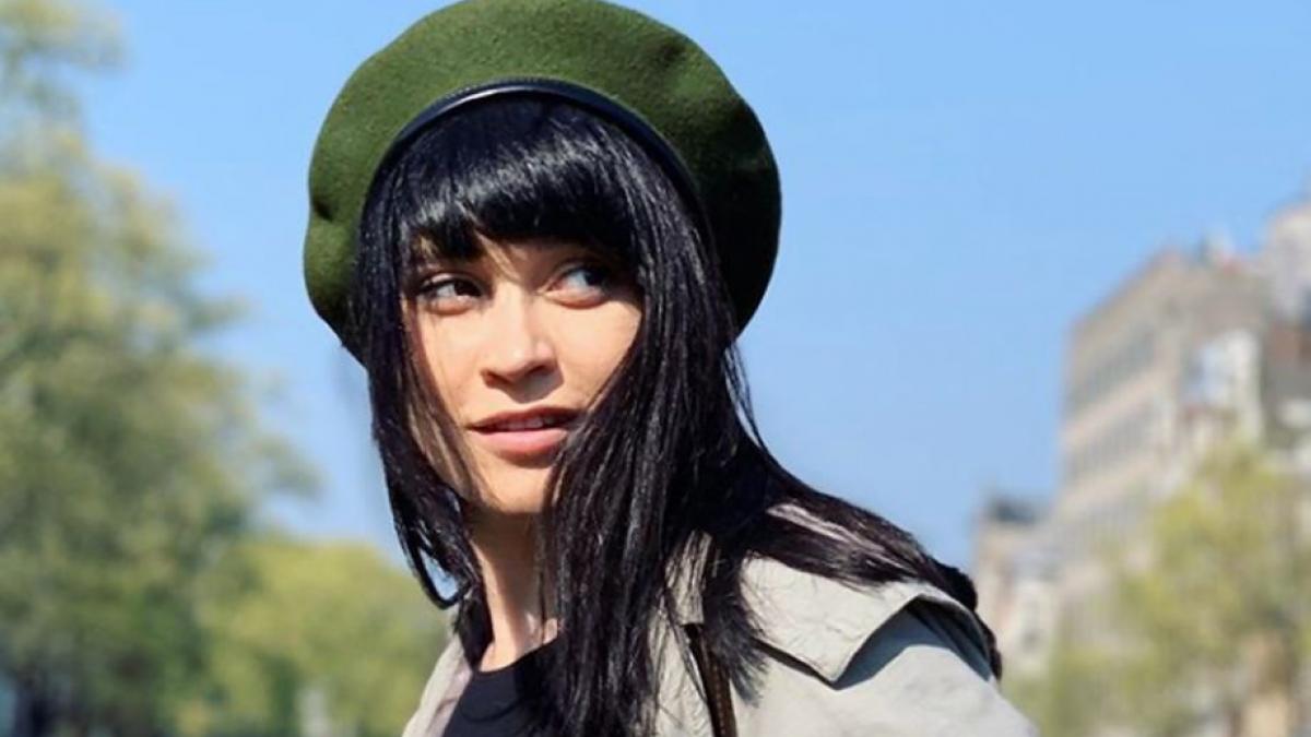 irina rimes reactioneaza dupa valul de ironii starnite de afirmatiile sale despre brancusi