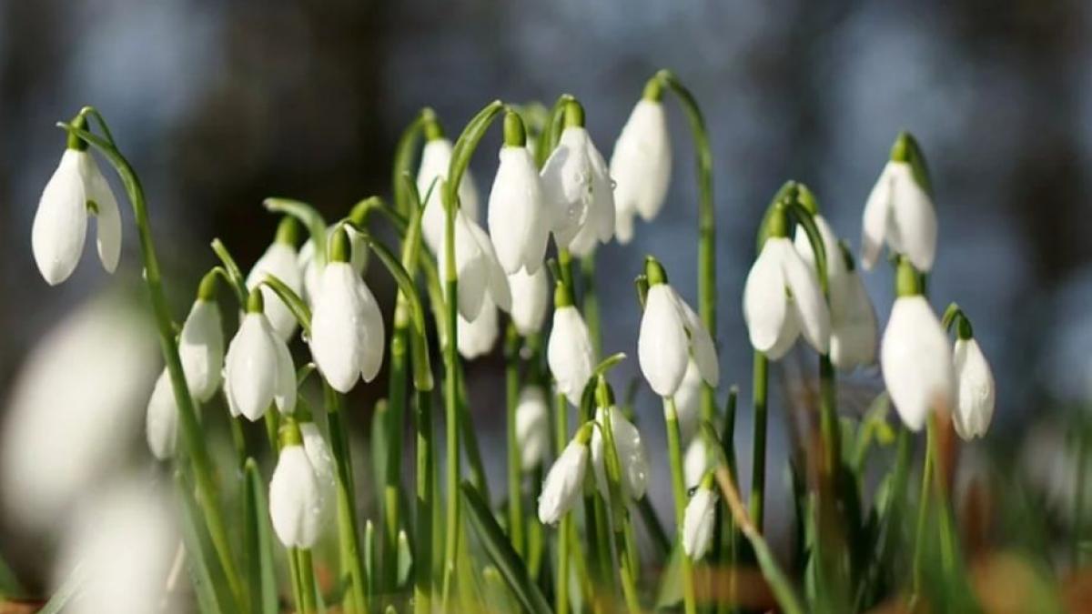 vremea in weekend meteorologii anunta temperaturi peste normalul perioadei