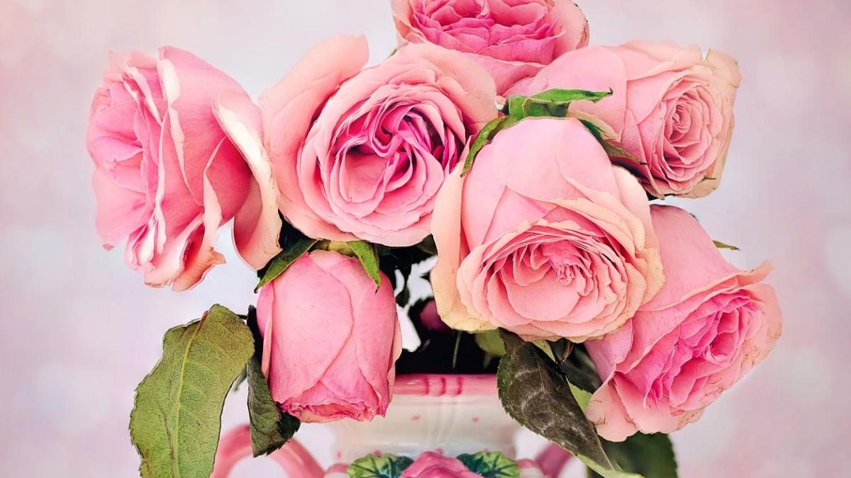 zodiile care vor avea cel mai trist valentine s day totul le merge prost