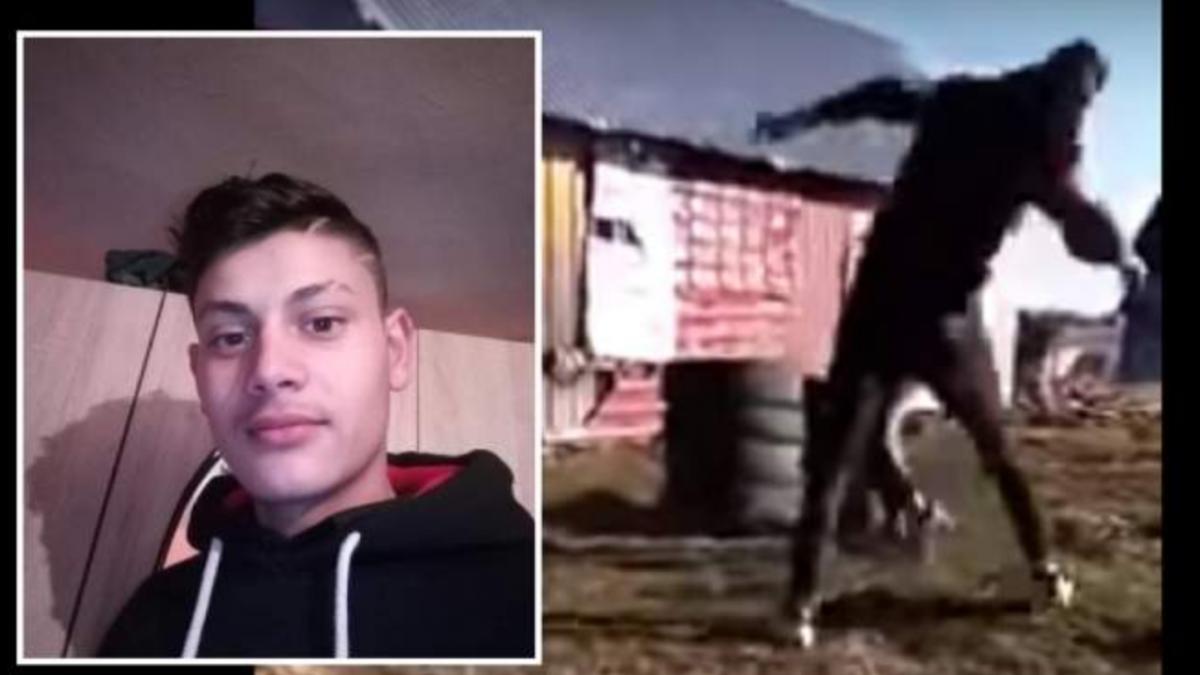 minora insarcinata batuta cu bici agresor retinut