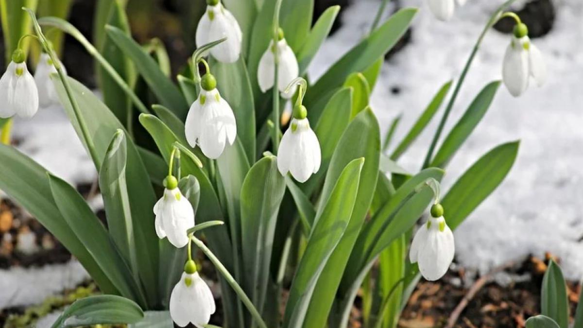 schimbari semnificative ale vremii temperaturi de 17 grade celsius marti in tara prognoza meteo