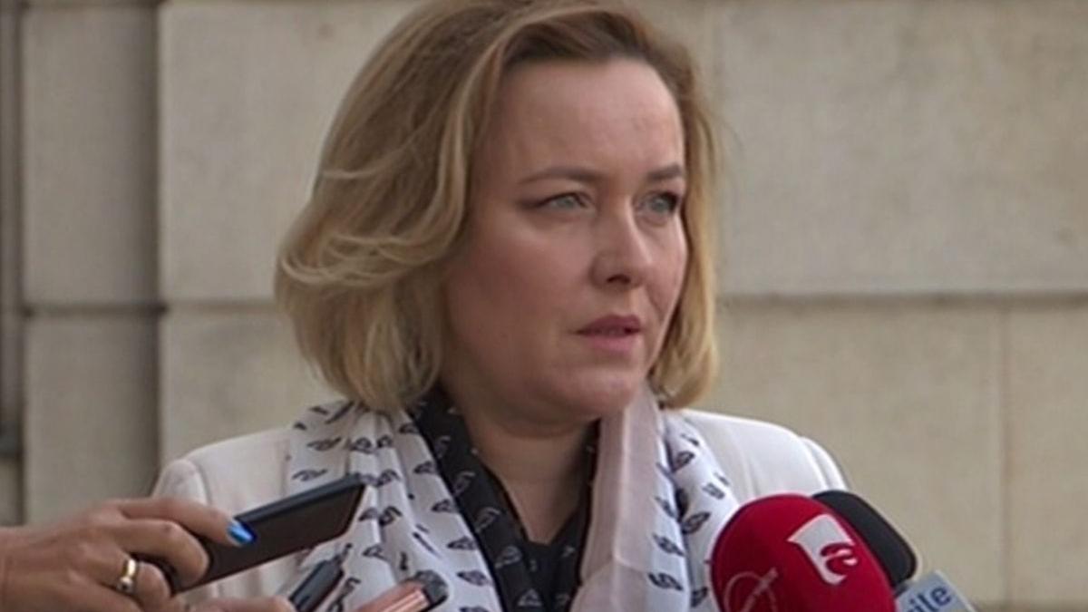 carmen dan critici la adresa lui marcel vela de la preluarea mandatului a avut un singur obiectiv