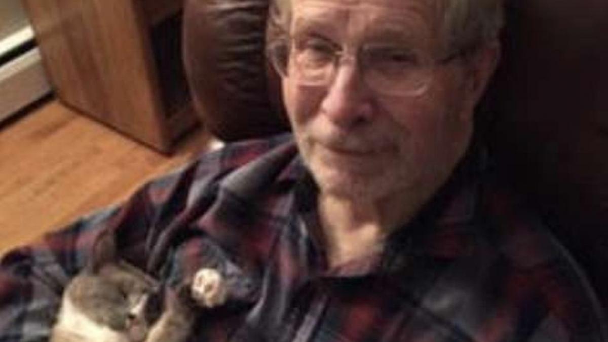 pisica isi petrecea toata ziua in preajma batranului suferind de alzheimer iar sacrificiul ei a