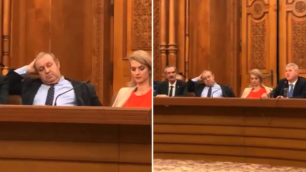 efectul audierii lui predoiu colegul sau daniel fenechiu a fost invins de somn video