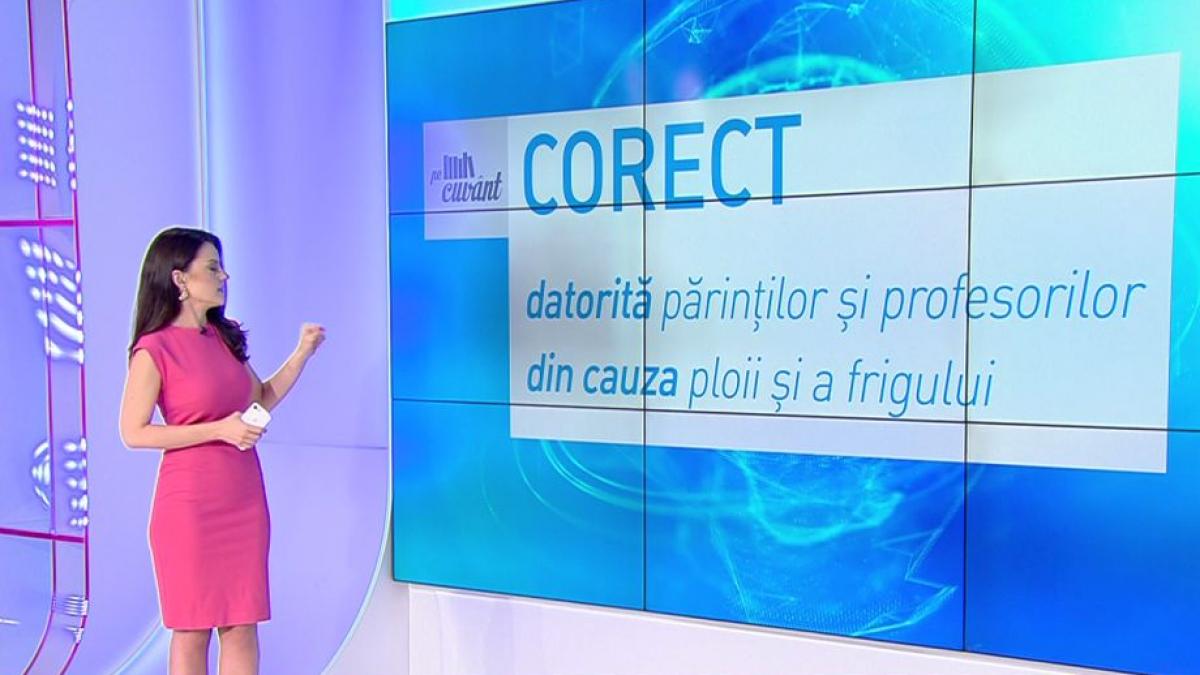 pe cuvant cu ana iorga articolul genitival