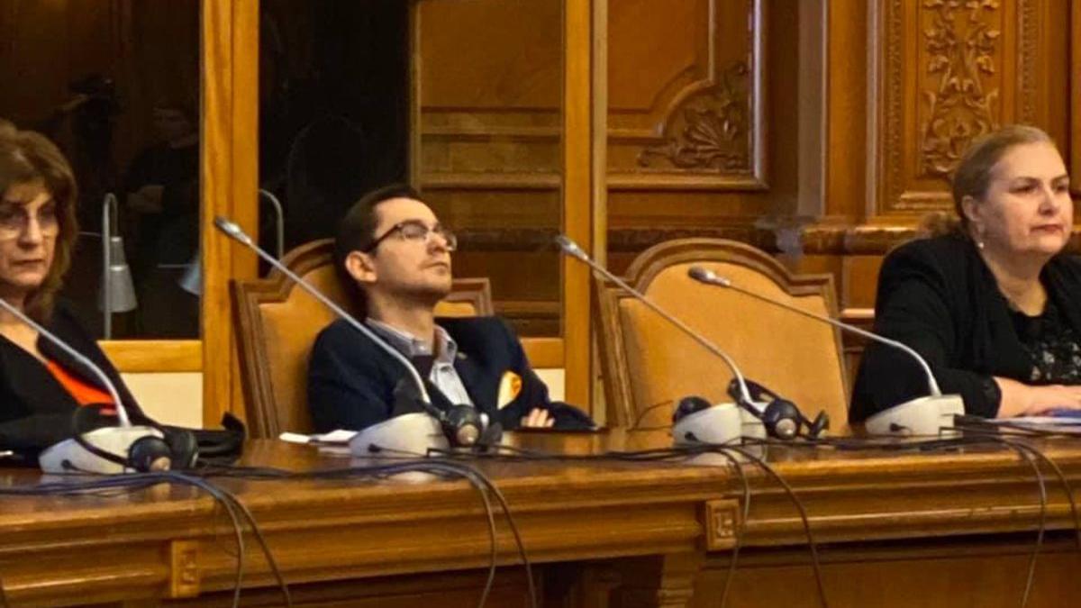 parlamentar pnl adormit audiere violeta alexandru parlament