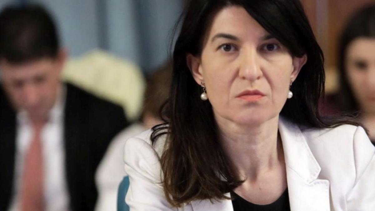 violeta alexandru modicarea legii pensiilor