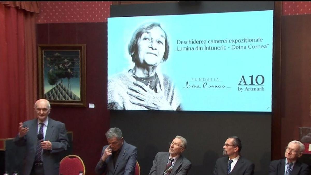 licitatie pentru tablouri pictate de doina cornea