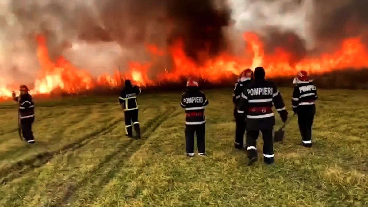 incendiu vadu oii constanta pompieri