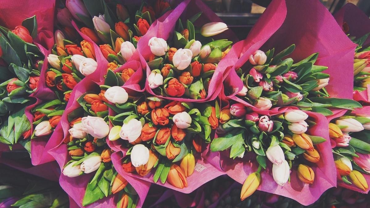 numai de bine ce semnificatie au florile de dragobete