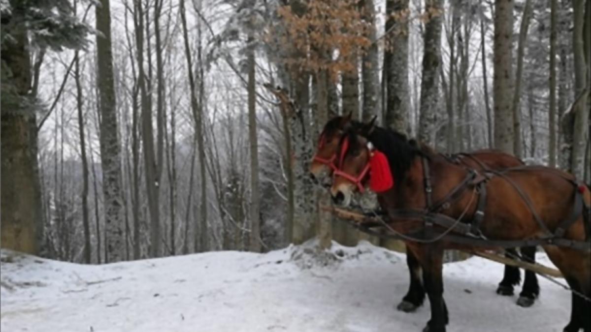 vremea februarie 2020