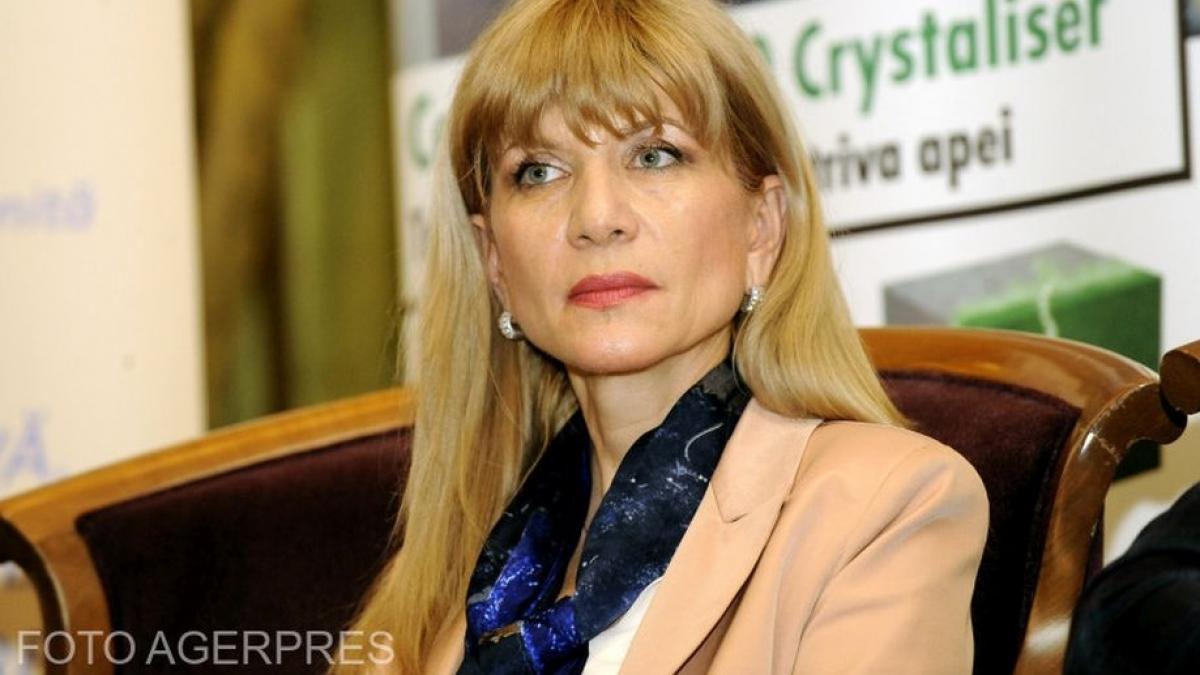 cnair are un nou sef cine e mariana ionita