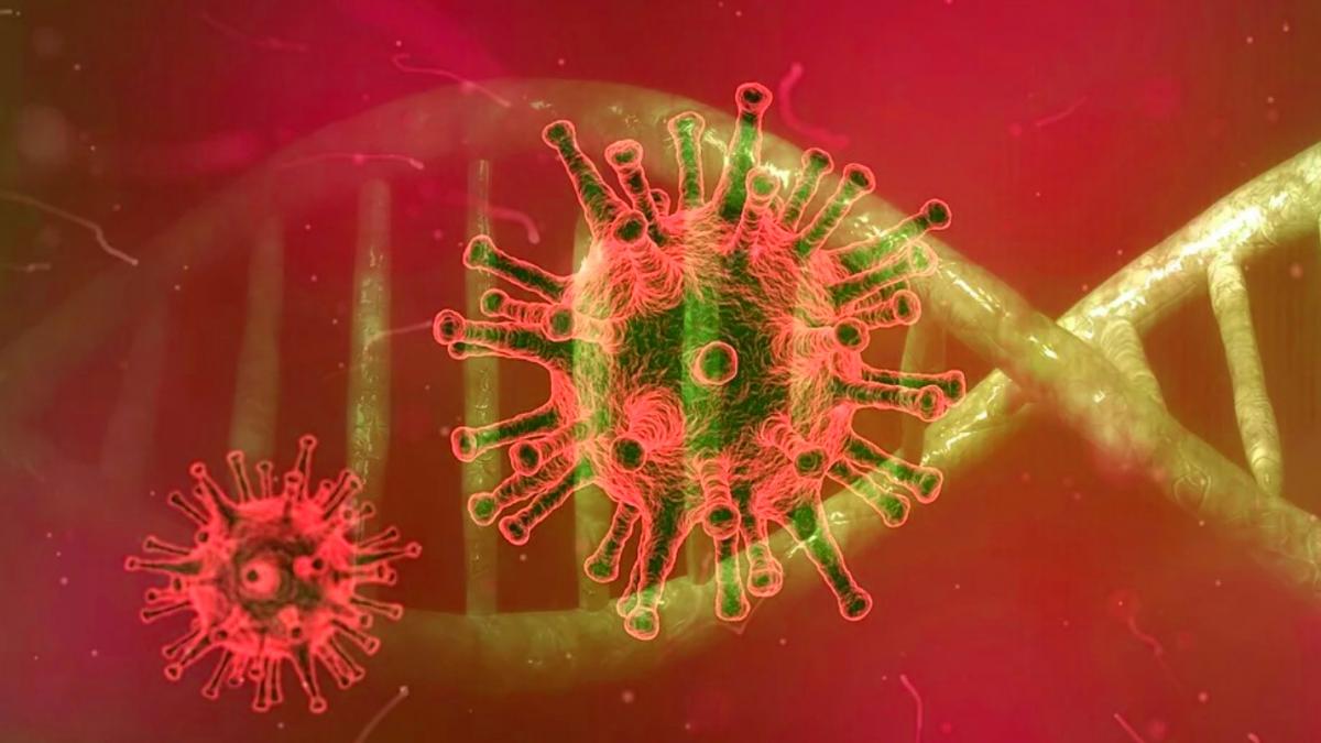 lumea se afla in pragul unei pandemii cu noul coronavirus este avertismentul extrem de dur al