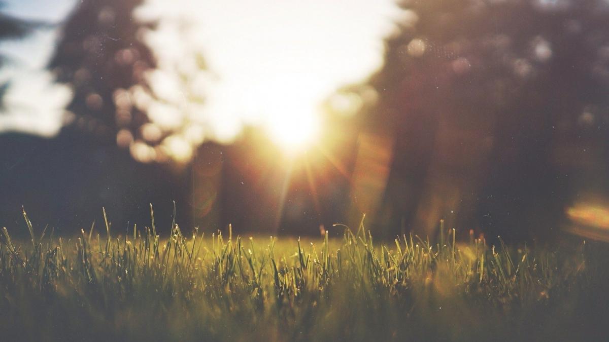 prognoza meteo 26 februarie vremea va fi deosebit de calda pentru sfarsitul lunii februarie