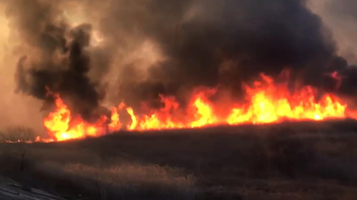 incendiu delta vacaresti provocat intentionat politia piroman