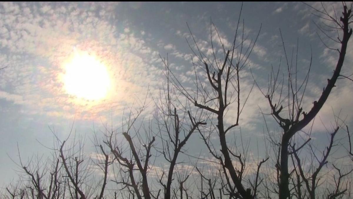 prognoza meteo speciala bucuresti