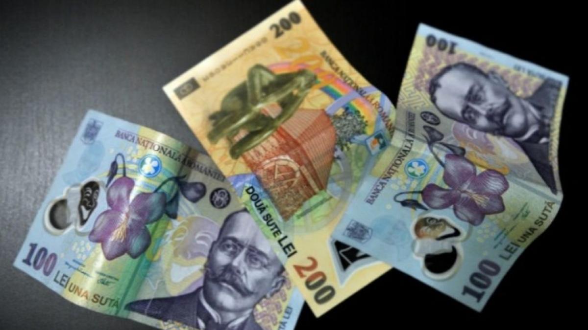 bani conturi copii junior centenar