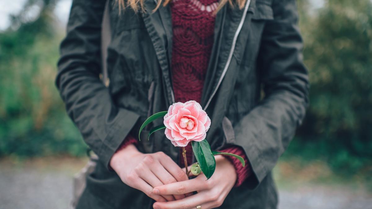 secretar de stat ministerul sanatatii dam numai florile fara sa ne pupam