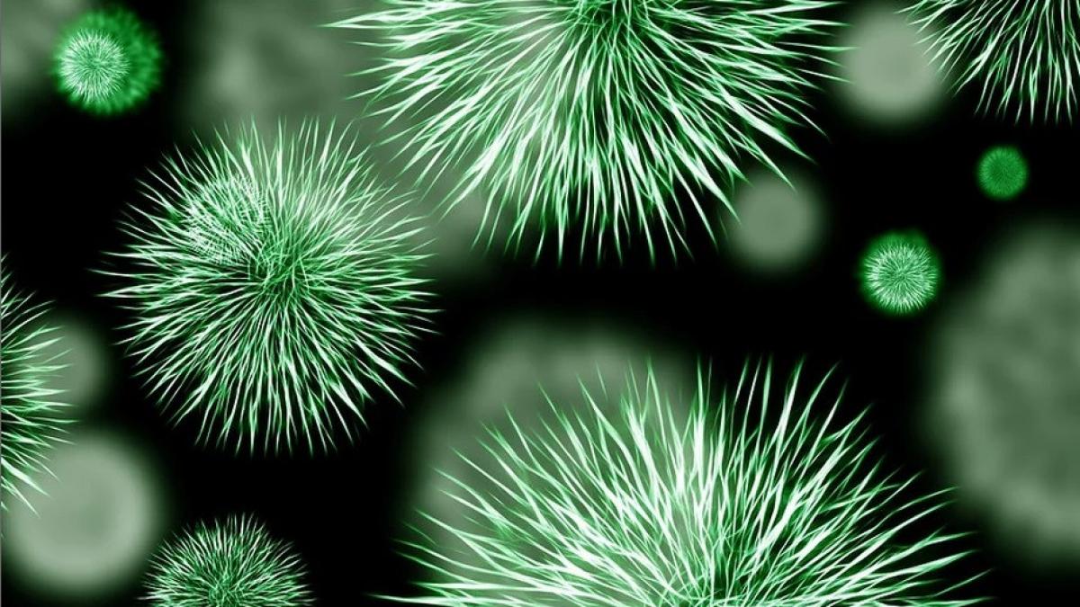 vicepresedintele iranului printre persoanele infectate cu coronavirus