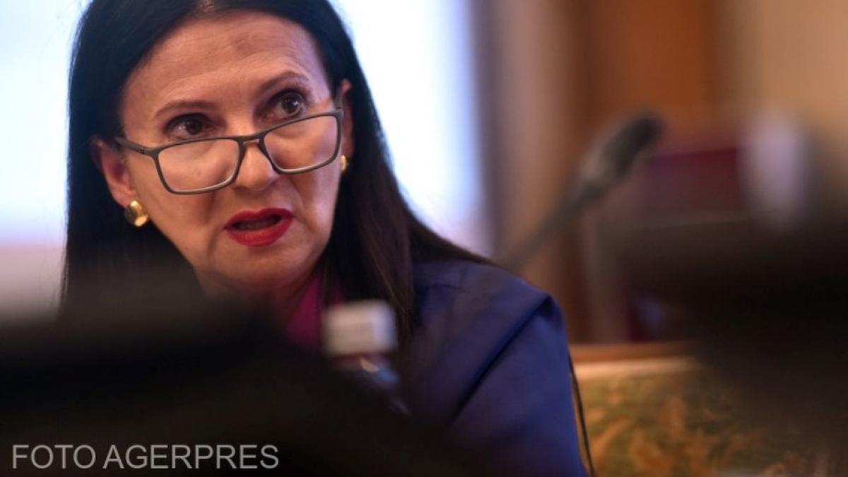 sorina pintea a contestat arestul preventiv