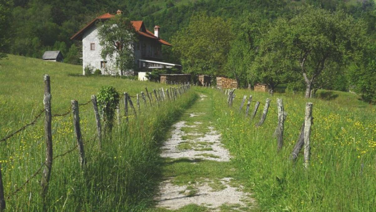 italian aproape linsat la hunedoara coronavirus