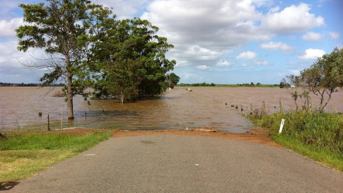 cod galben inundatii bihor