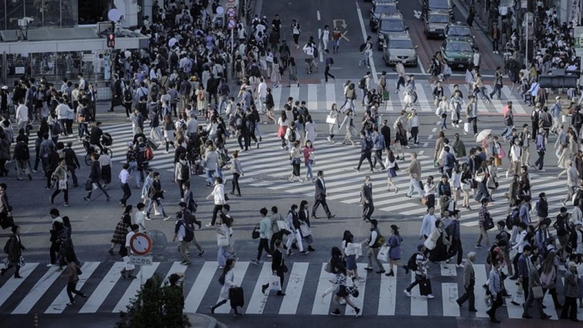 elevi olimpici panouri publicitare
