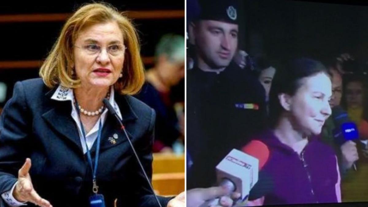 grapini parlamentul european sorina pintea