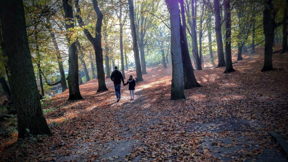 dorel buhaescu feresti viol