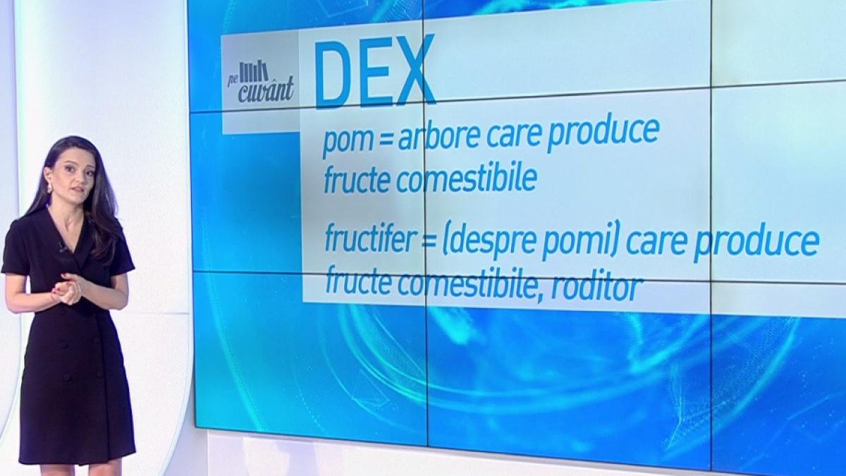 pe cuvant cu ana iorga expresia pomi fructiferi este gresita