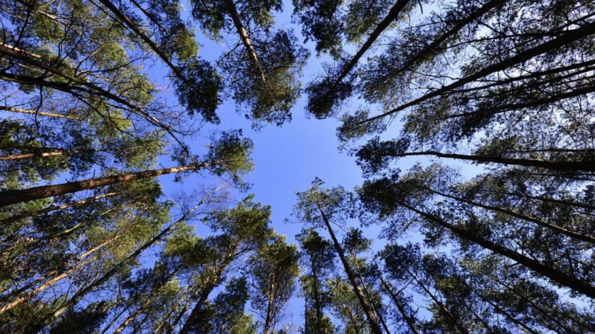 prognoza meteo pe trei zile