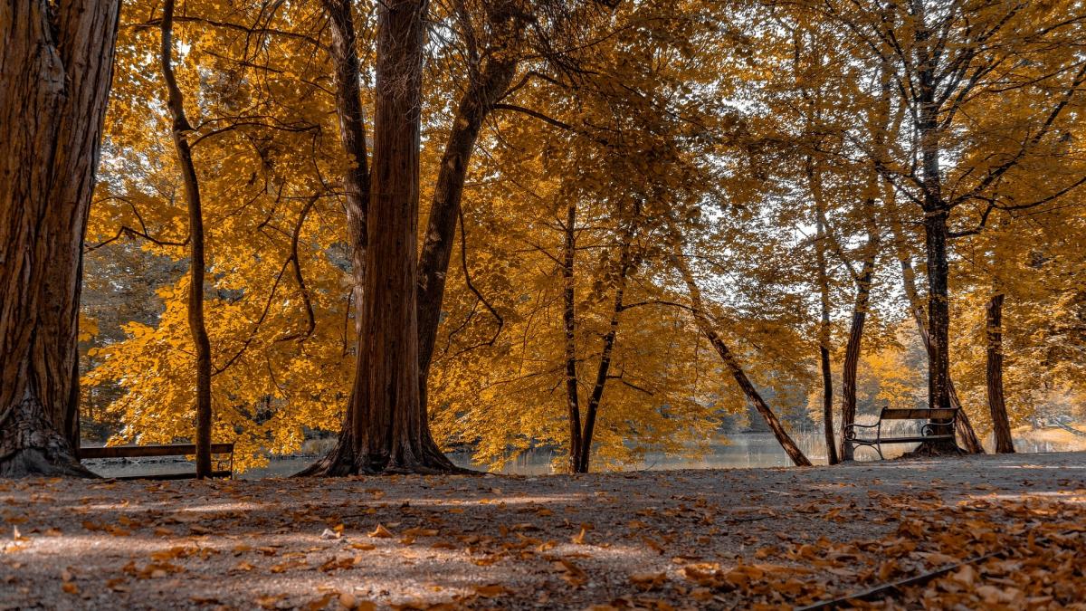 parc sector 4 bucuresti