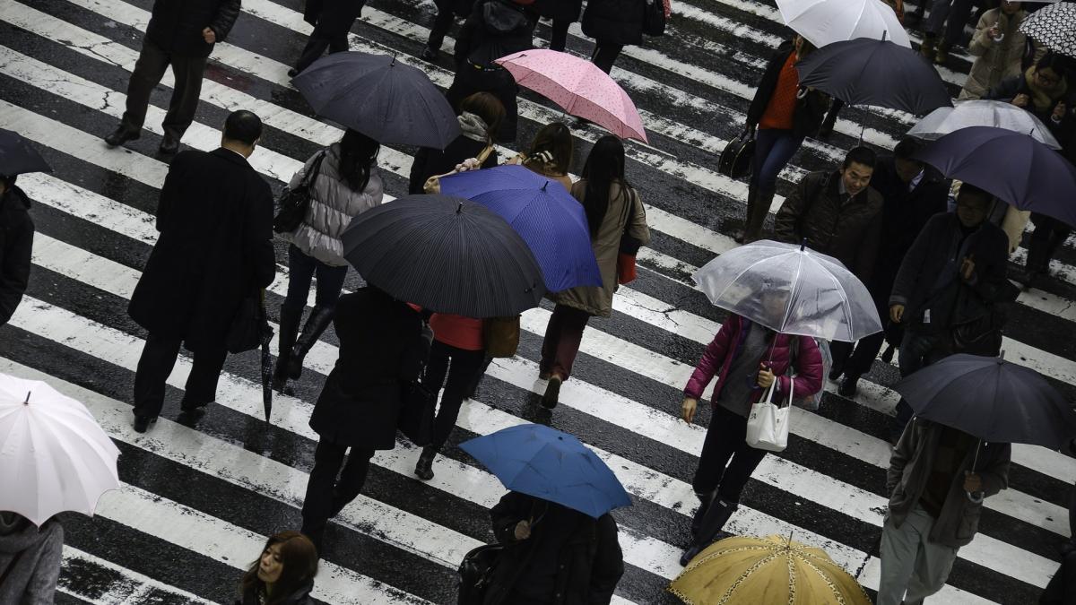 se schimba codul rutier pietonii vizati de amenzi usturatoare
