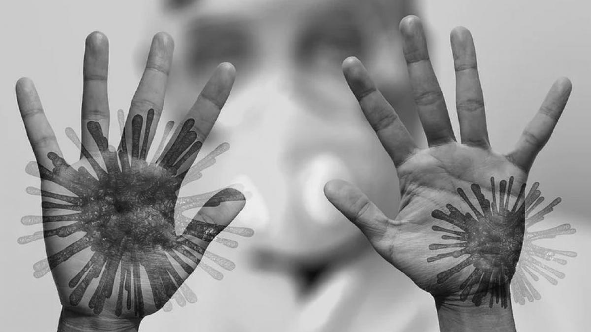 profesoara dolj verificata vama intoarcerea italia romania isterie