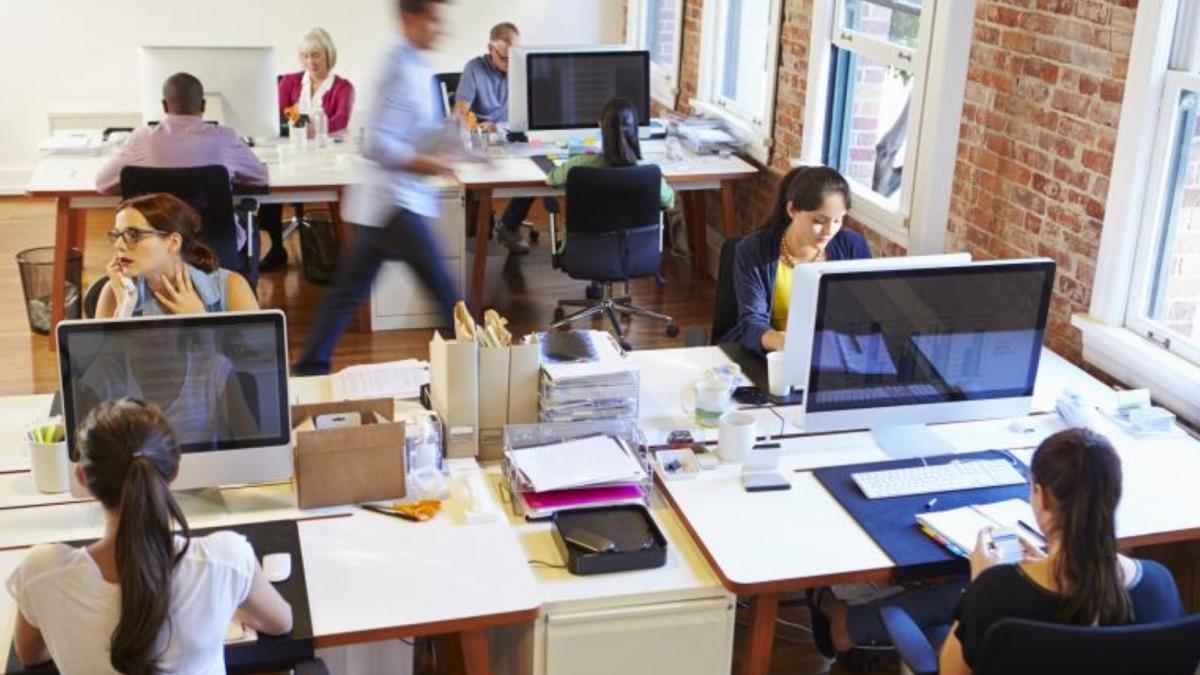 arafat program lucru comitetului pentru situatii de urgenta