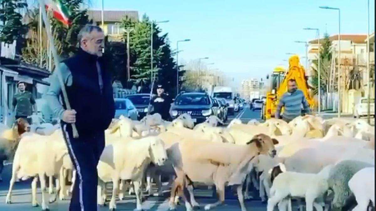 becali filmat turma oi pipera criza coronavirus