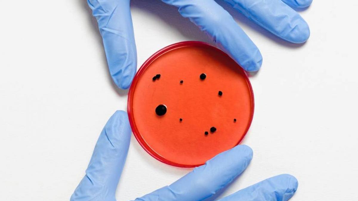 jair bolsonaro presedintele braziliei are coronavirus